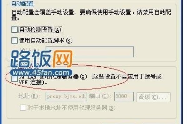 代理服务器自动开启标题，系统进程或软件配置导致-百挑一