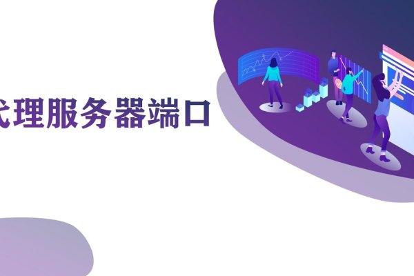 代理服务器,网络中的桥梁与守护者-百挑一