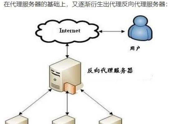 代理服务器软件能否实现外网访问？解析与探讨-百挑一