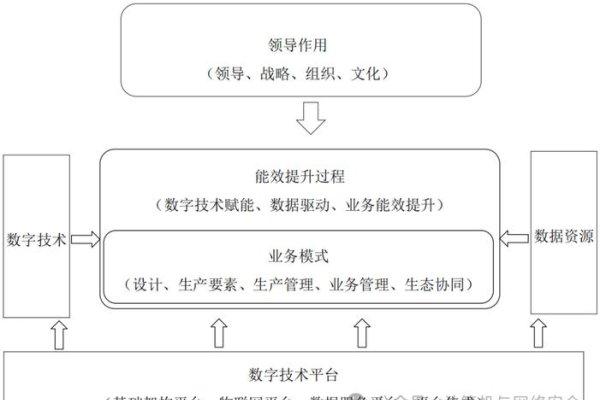 独立服务器，企业数字化转型的关键基石-百挑一