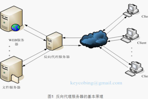 代理服务器软件概览，除Nginx外的主要反向代理替代品-百挑一
