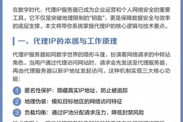代理服务器网页版使用指南，注册流程简洁，功能全面，安全稳定-百挑一