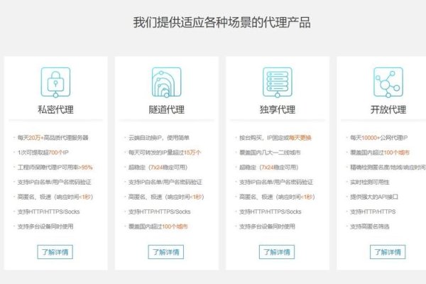 代理IP服务介绍-百挑一