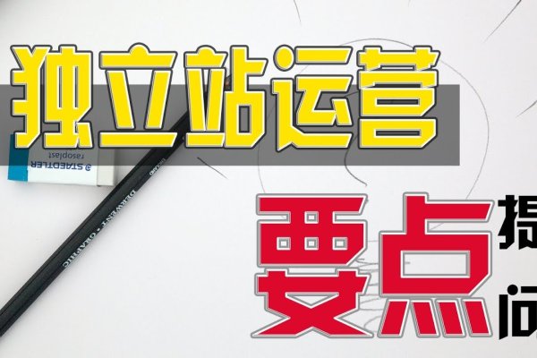 独立站建设与运营全流程指南-百挑一