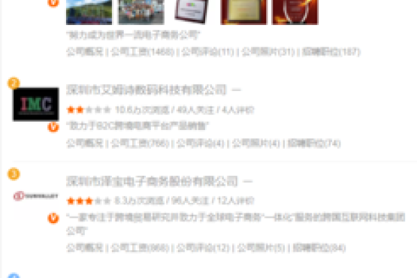 电商公司排名及热门平台介绍-百挑一