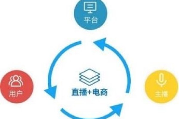 电商行业的机遇与挑战-百挑一