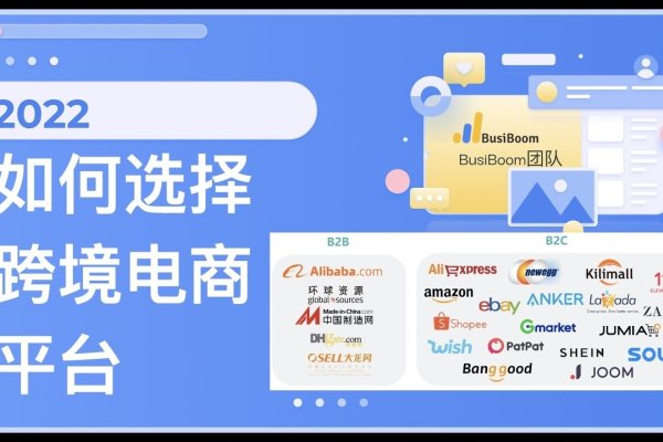 电商平台建设与费用分析-百挑一