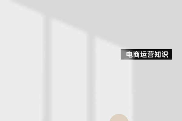 电商商品管理系统无货源模式分析-百挑一