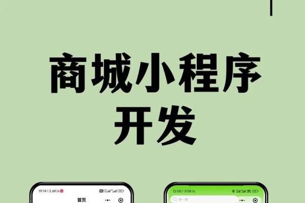 电商小程序，微信平台上的便捷购物工具-百挑一