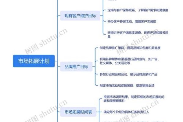 电商系统规划与市场拓展策略书-百挑一