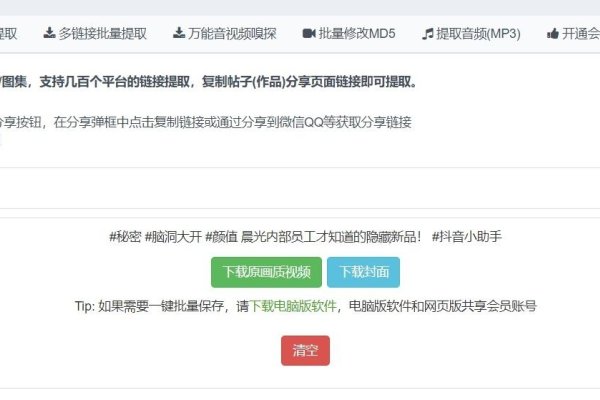 短视频批量下载与保存工具指南-百挑一