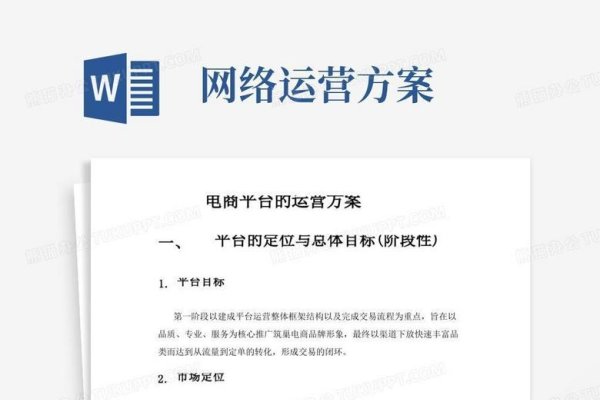 电商运营方案计划书,构建高效电商业务战略-百挑一