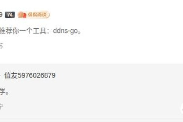 动态域名解析技巧-百挑一