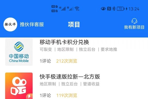 地推app发布平台，助力应用推广与发布的强大工具-百挑一