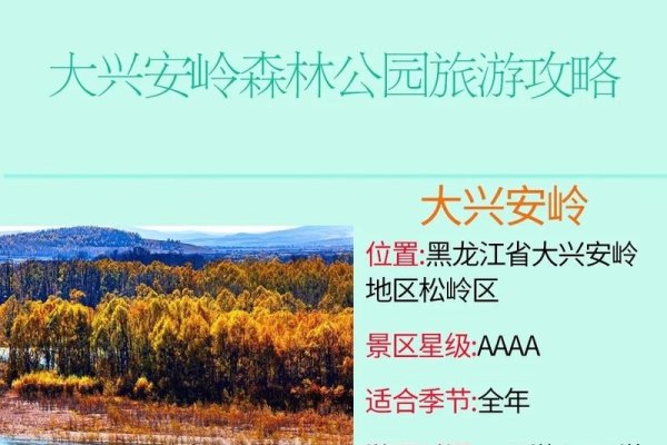 大兴安岭SEO策略与实践-百挑一