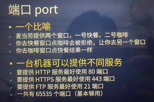 电脑服务器端口的概述与重要性-百挑一