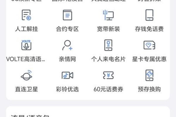 电信号码的托管软件选择与应用-百挑一
