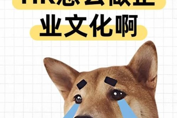 大型网站建设公司的角色与挑战-百挑一