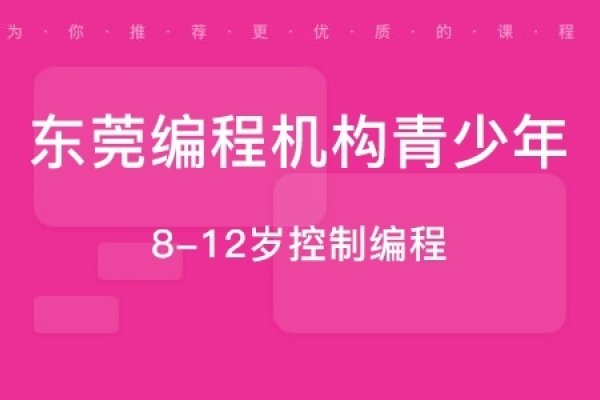 东莞编程培训机构推荐-百挑一
