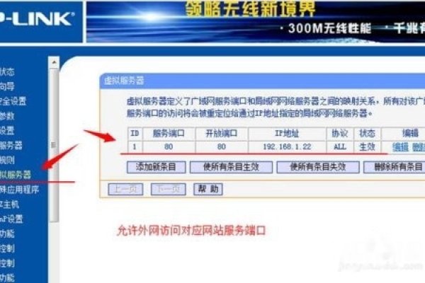 电信申请固定公网IP详解，步骤、技巧与注意事项-百挑一
