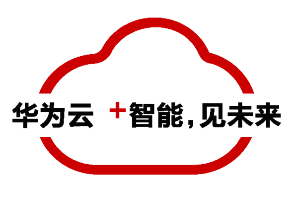 独享型云主机,企业数字化转型的得力助手-百挑一