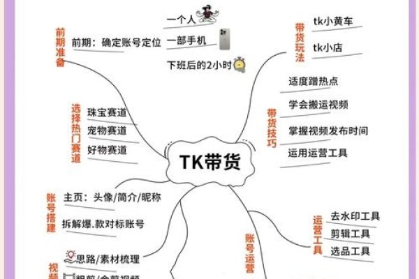 独享与共享IP解析，优势与应用场景对比涵盖了文章的主要内容，突出了对独享和共享IP的对比分析以及它们各自的优势和应用场景的探讨。-百挑一