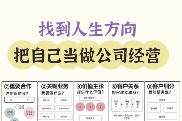 代运营公司的前途展望-百挑一