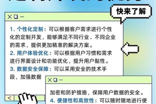 定制开发优势，为何选择定制化解决方案-百挑一