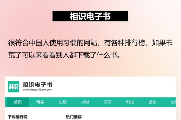 电子书网站搭建教程，从零开始构建你的数字阅读平台-百挑一