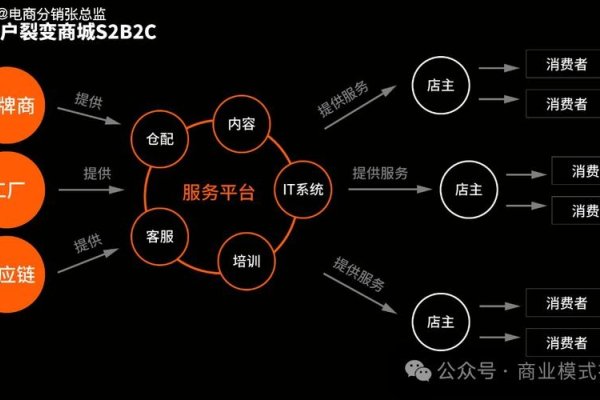 电子商务与商务英语,双技能驱动的商业新模式-百挑一