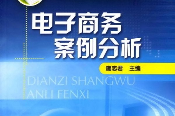 电子商务网页设计案例解析-百挑一
