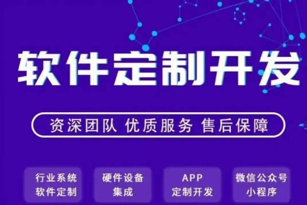 定制软件服务商，专业高端软件开发制作方案提供商-百挑一