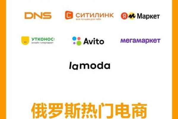 俄罗斯国内电商平台概览-百挑一