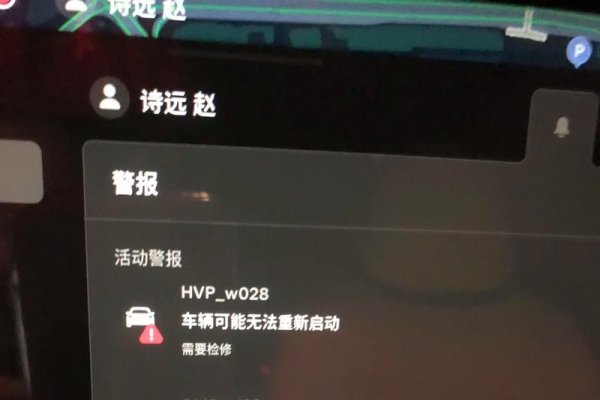 服务器错误解析，特斯拉429报错含义探究-百挑一