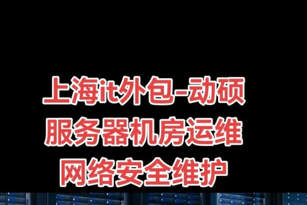 服务器外包服务-百挑一