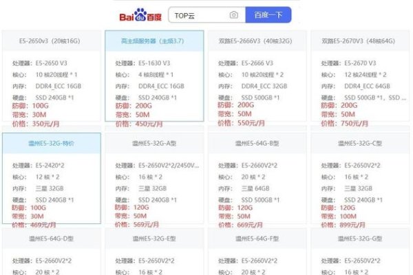 服务器租用与购买，如何选择最适合您的方案-百挑一