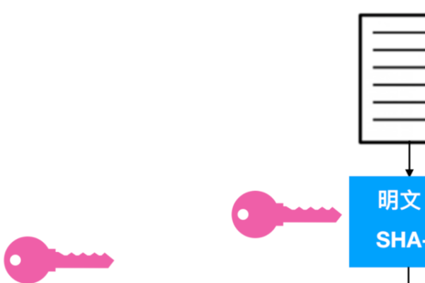 服务器向台湾发送数据的重要性及其影响-百挑一