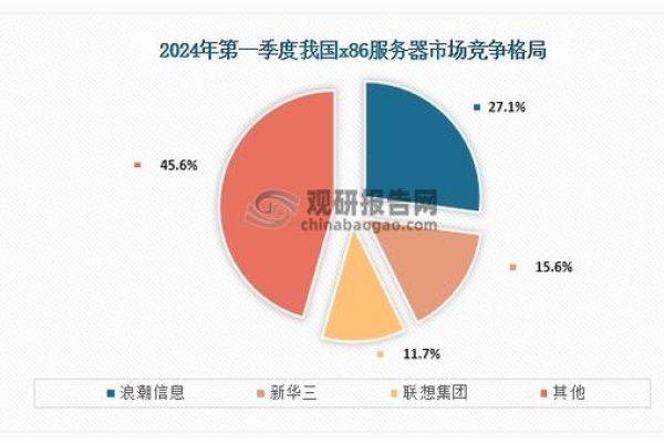 国产服务器崛起，华为x86市场地位分析-百挑一