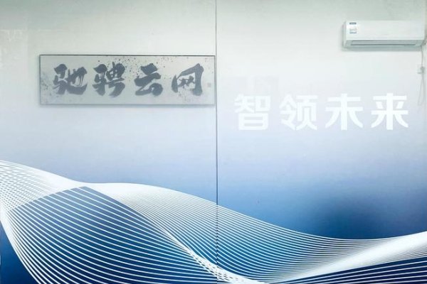 高防虚拟空间租用，专业平台与关键技术的选择-百挑一