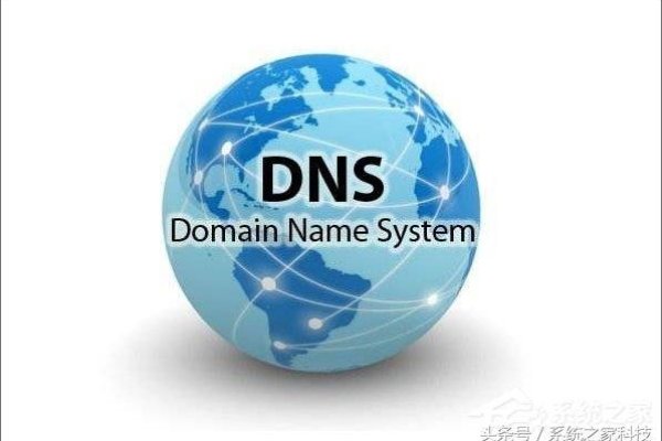 高防DNS解析技术详解，防御DDoS攻击的关键手段与未来发展展望-百挑一