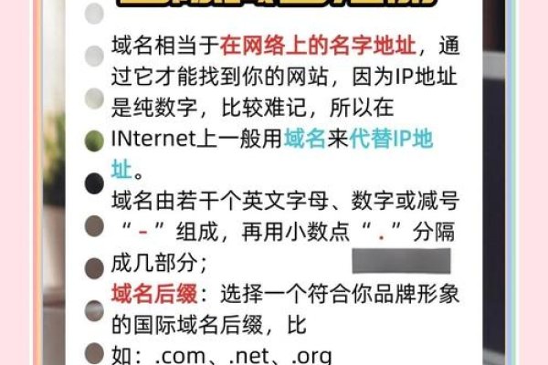 国际顶级域名注册，解析与重要性-百挑一