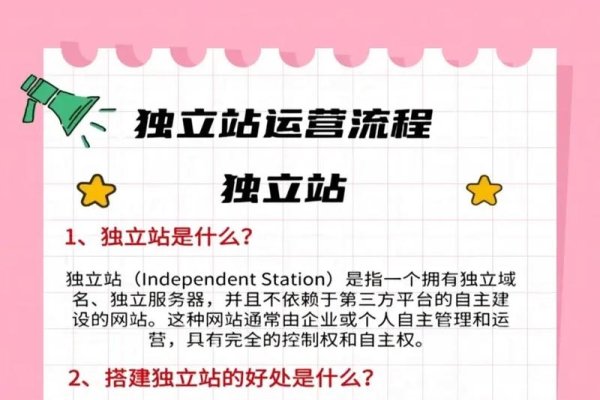 国内电商独立站的概述与分类-百挑一