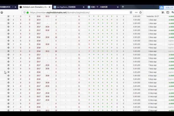 过期域名查询接口，挖掘与管理域名的关键工具-百挑一