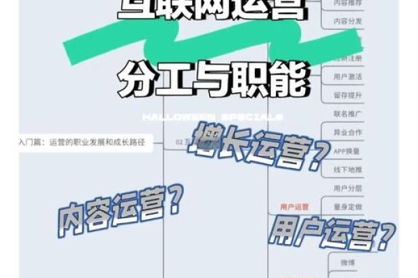 个人网站建设与运营指南-百挑一