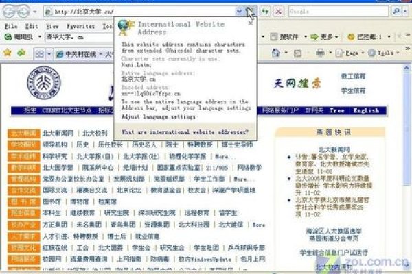 公司的中文域名有什么用-百挑一