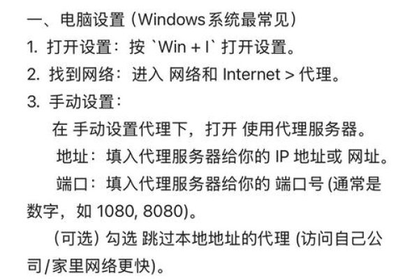 公网代理服务器设置与应用-百挑一