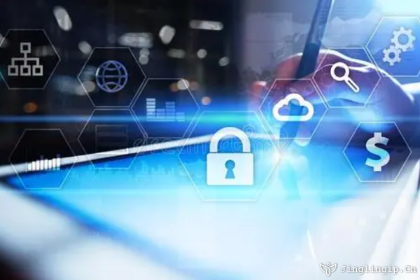 国外IP代理软件，永久免费的便捷选择-百挑一