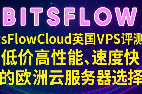 国外VPS挂机，探索与使用指南-百挑一