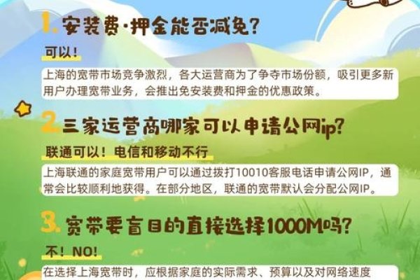 公网IP购买指南，如何选择与申请？-百挑一