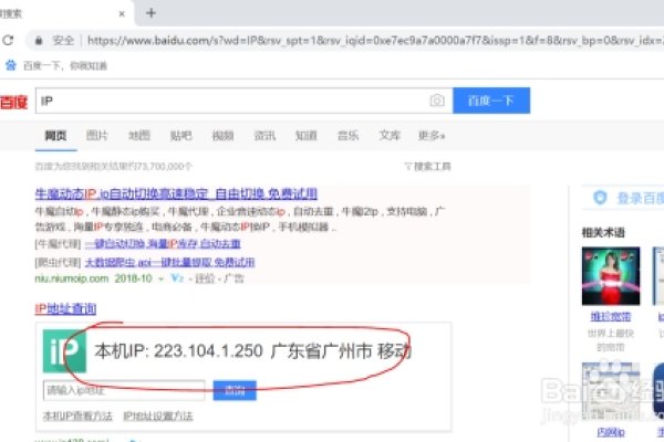 公网IP查看方法及判断依据简介-百挑一